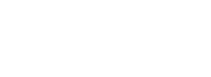 BRUZZ-logo-main-white-rgb